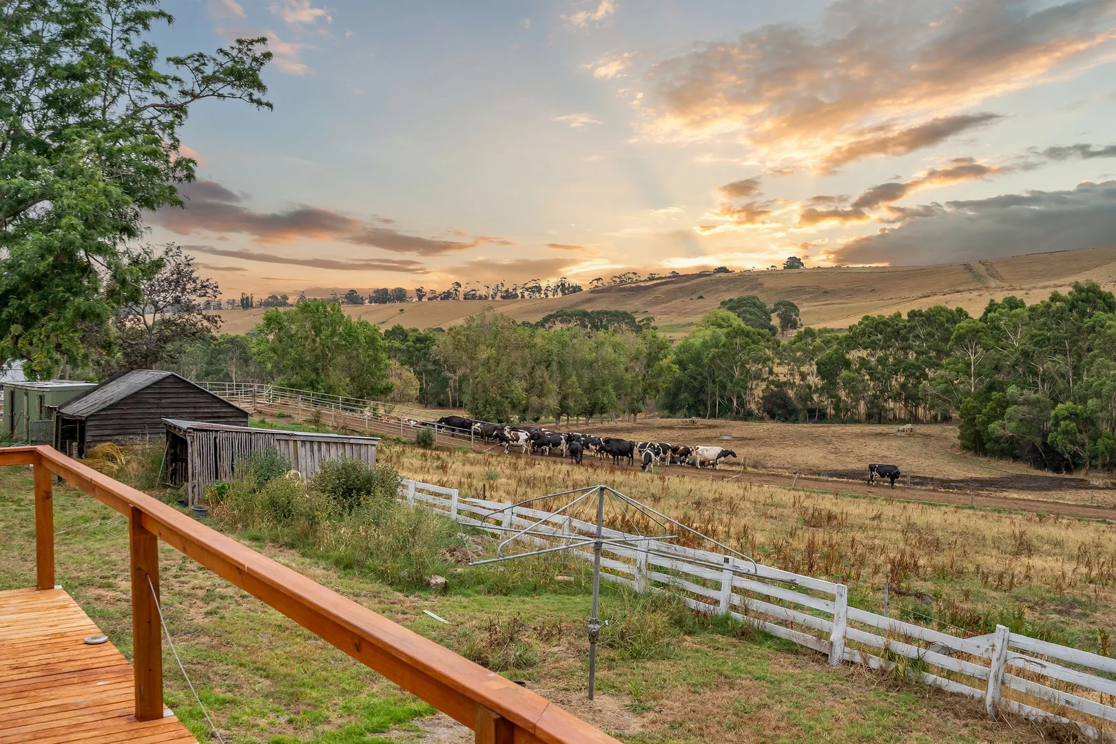 Additional image 9 of 170 Cobden Port Campbell Road, Scotts Creek VIC 3267