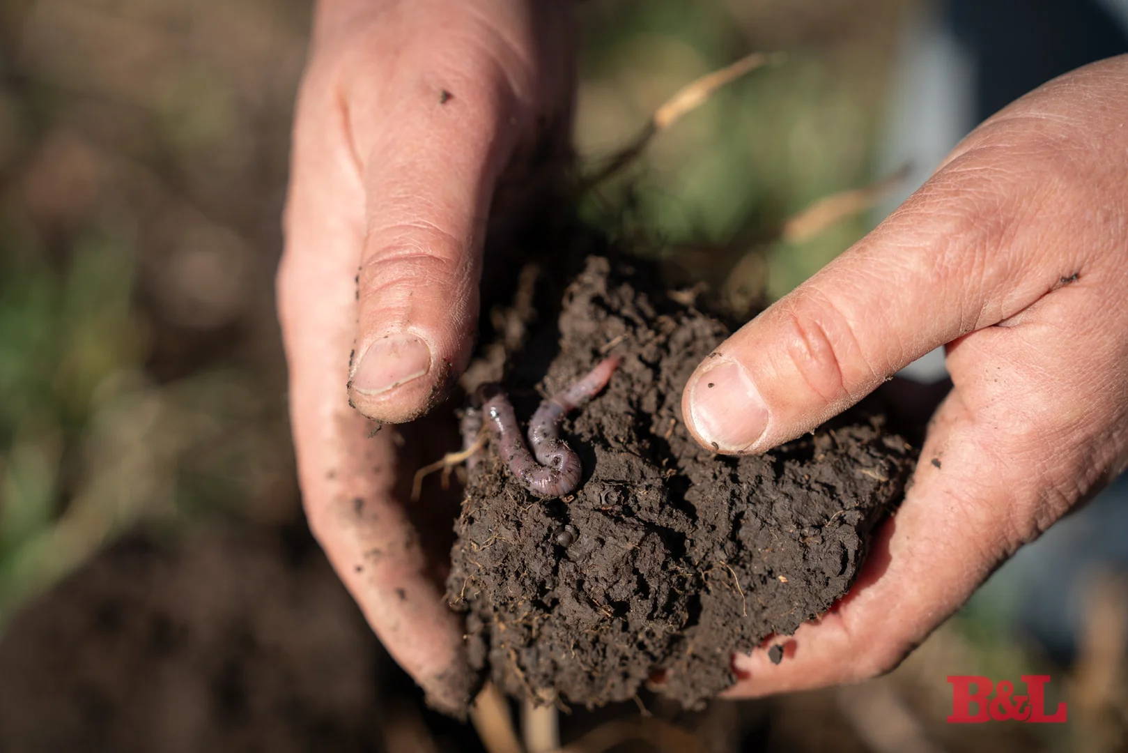 Additional image 35 of 2989 Sofala Road, Wiagdon NSW 2795