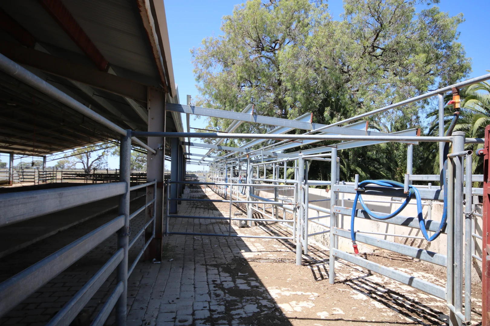 Additional image 21 of 614 Nullabooma Road, Wakool NSW 2710