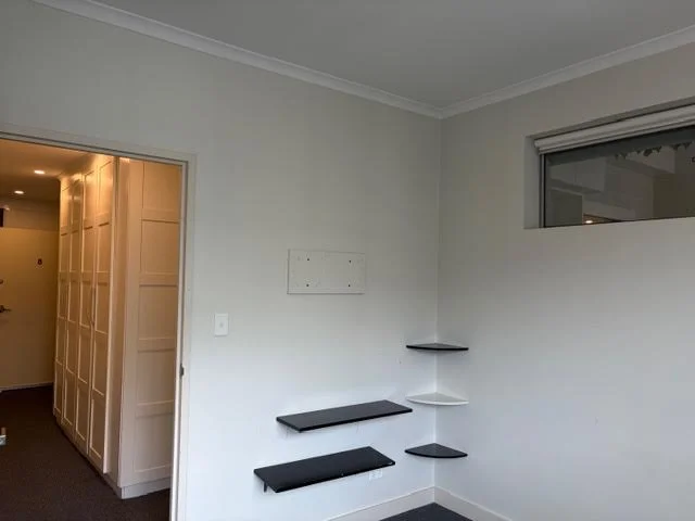 Additional image 7 of 8/261-263 Wardell Road, Marrickville NSW 2204