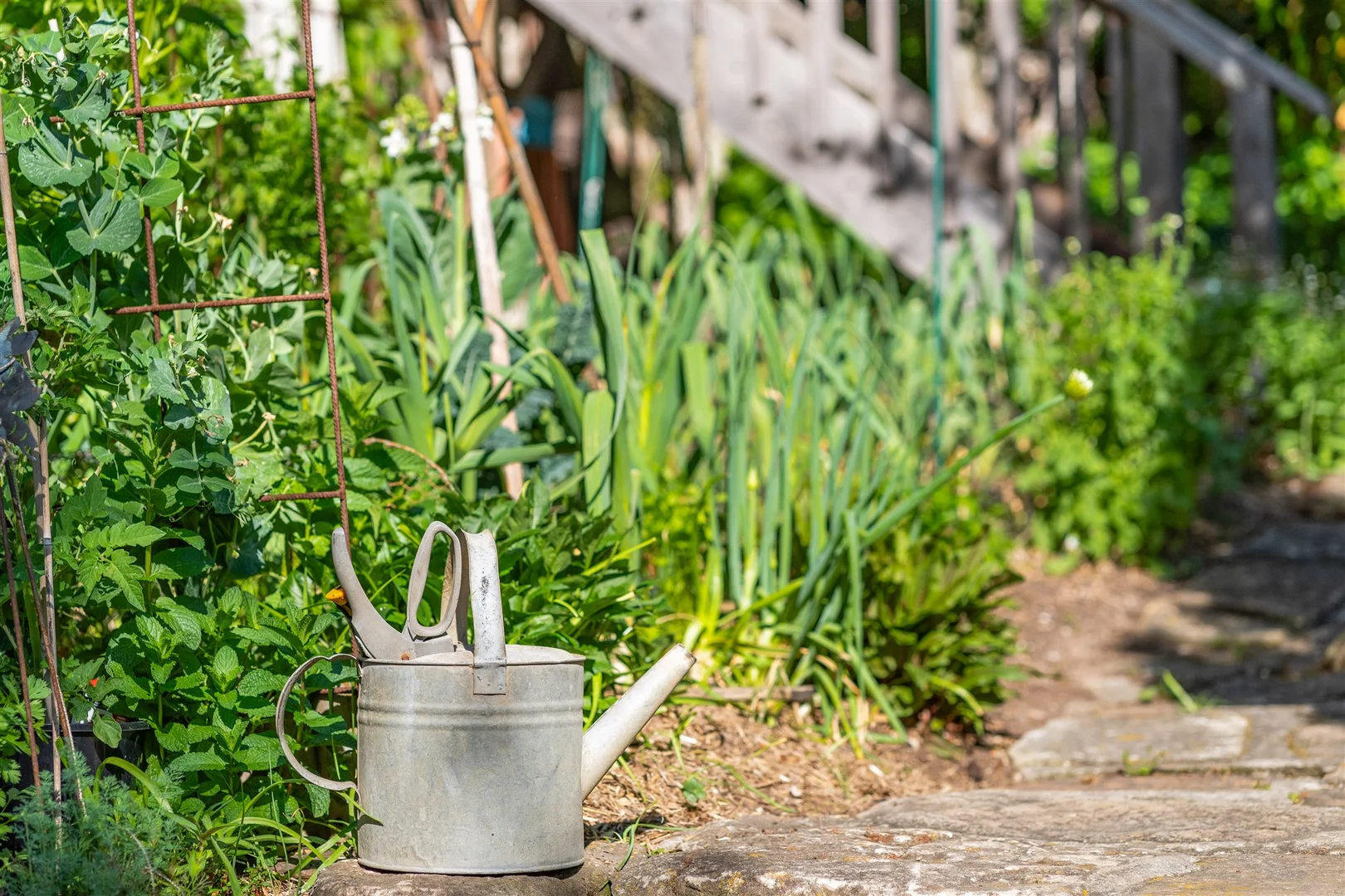Additional image 25 of 17 Old Hume Highway, Berrima NSW 2577