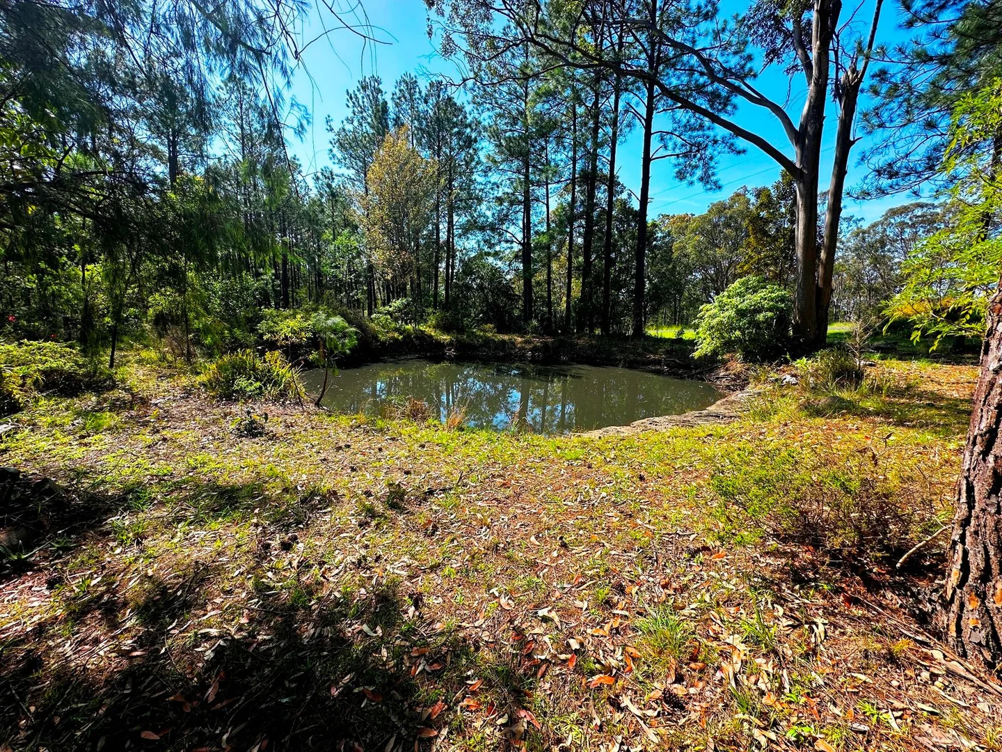 Additional image 3 of 88 Clarke Street, Pindimar NSW 2324