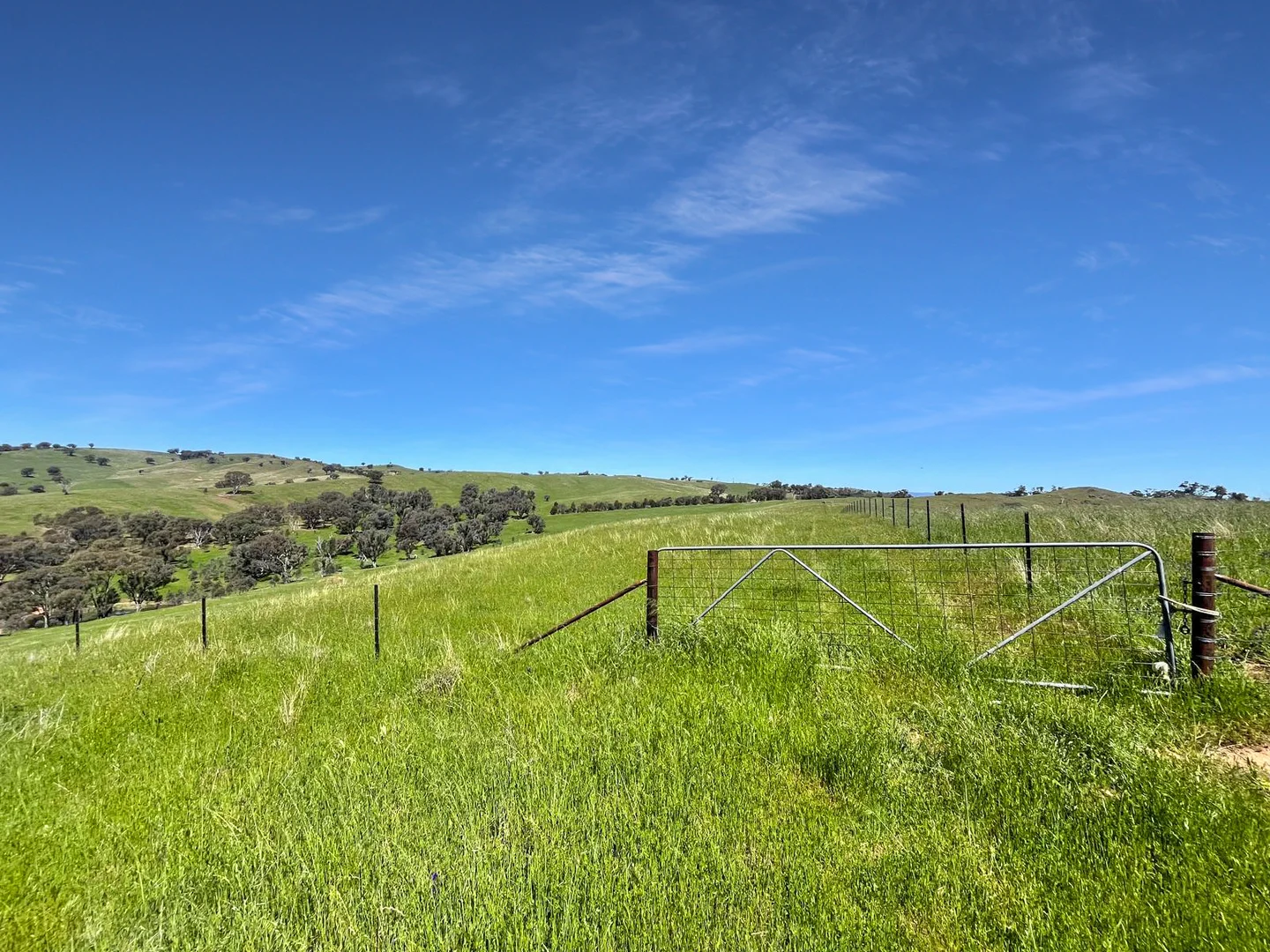 Additional image 41 of 'horse Gully' Old Waugoola Road, Woodstock NSW 2793