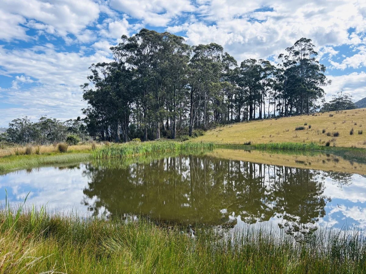 Additional image 2 of 406 Kellevie Road, Kellevie TAS 7176