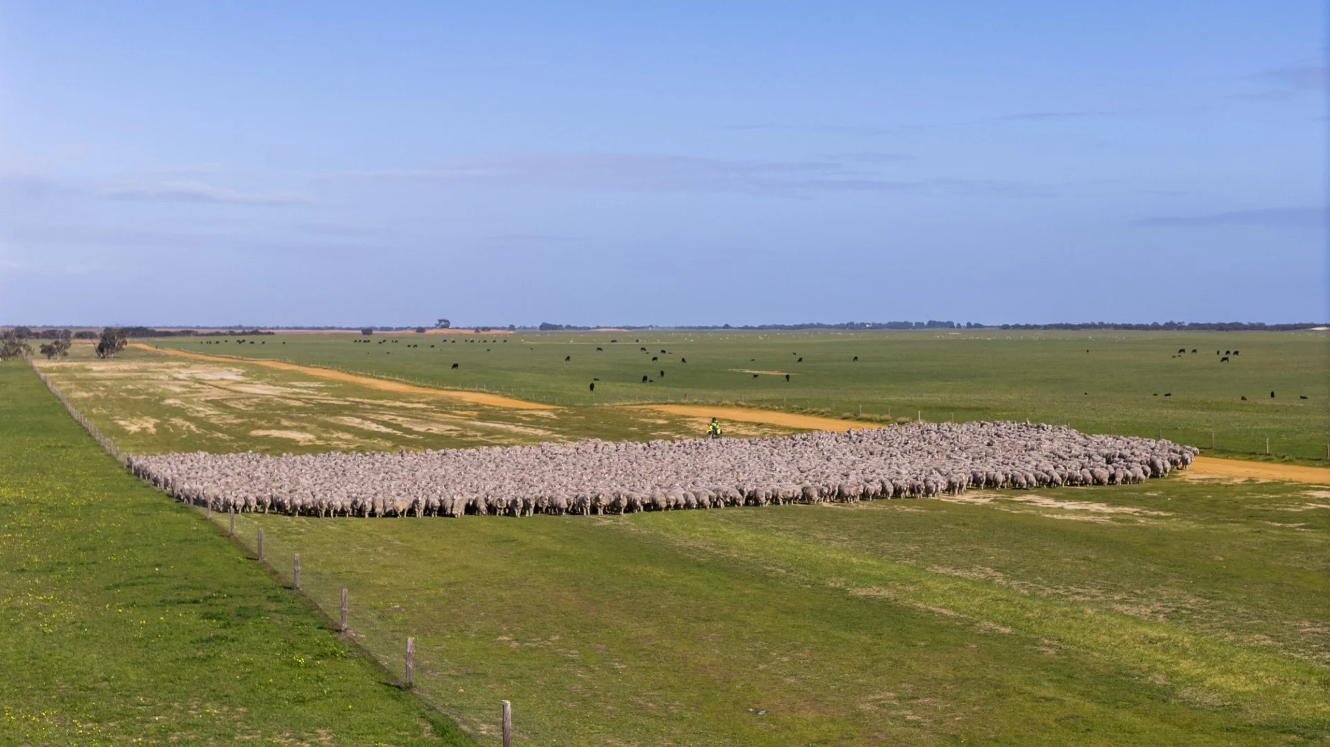 Additional image 24 of 1579 Chappel Road, Telopea Downs VIC 3420