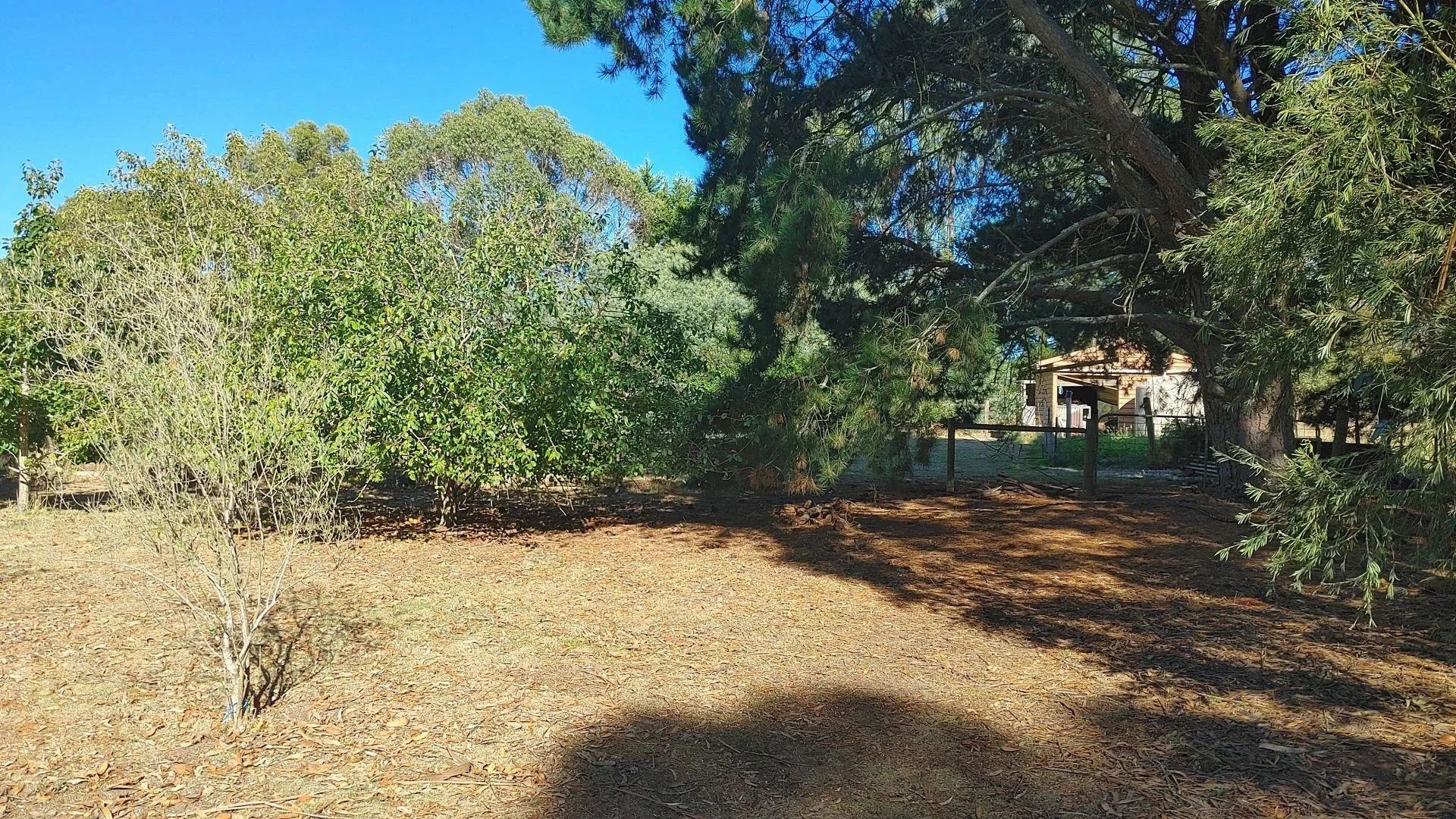 Additional image 18 of 45 Brougham Street, Gordon VIC 3345