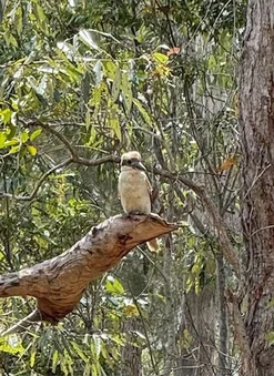 Additional image 9 of 118 Pacific Haven Circuit, Pacific Haven QLD 4659