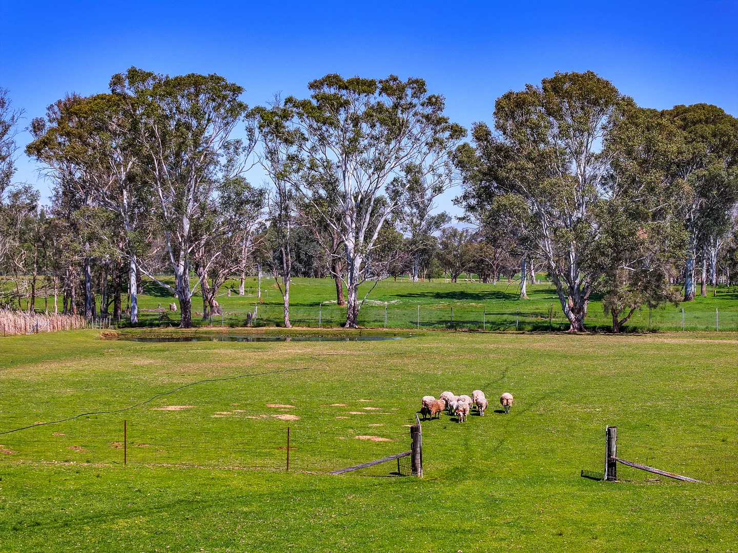 Additional image 15 of 50 Braikfield Avenue, Kemps Creek NSW 2178