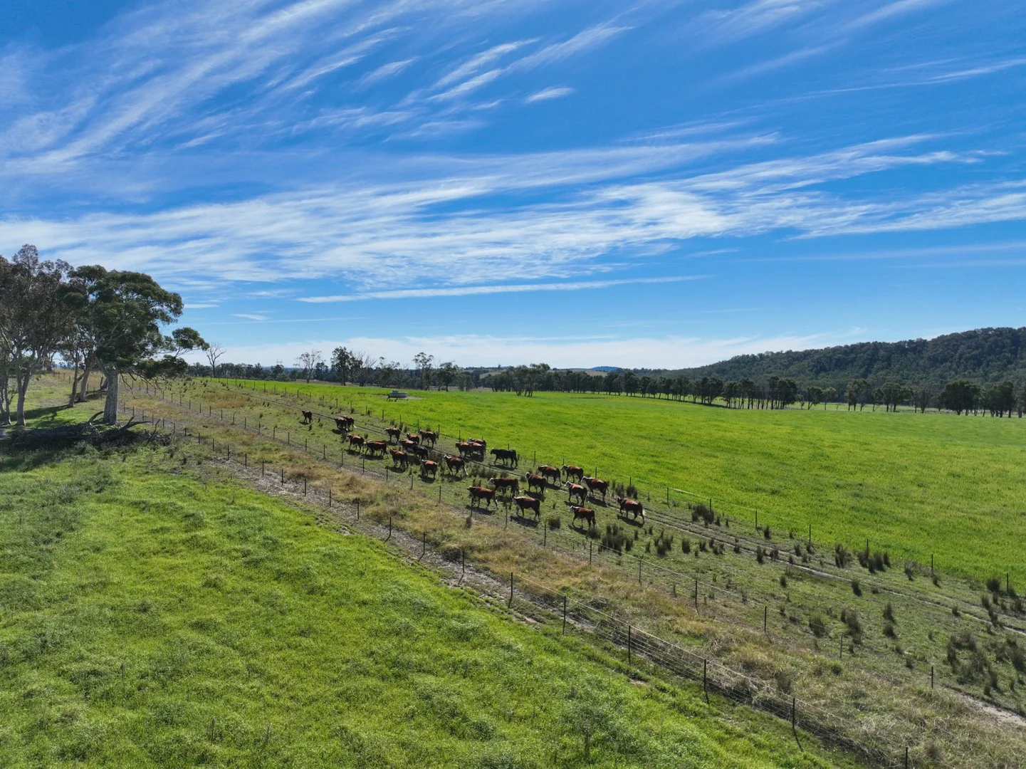 Additional image 14 of 710 Inverary Road, Paddys River NSW 2577