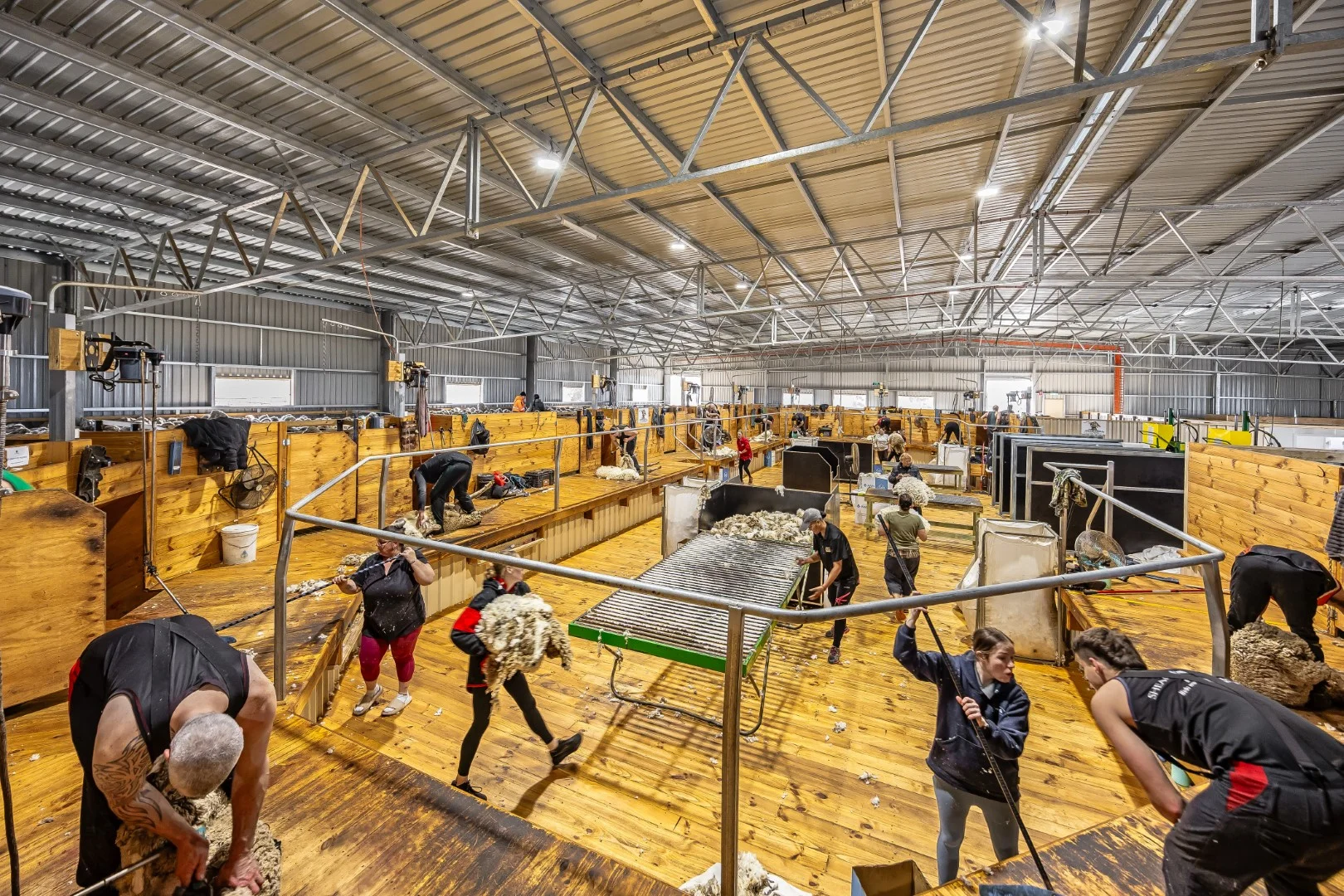 Additional image 12 of 1579 Chappel Road, Telopea Downs VIC 3420