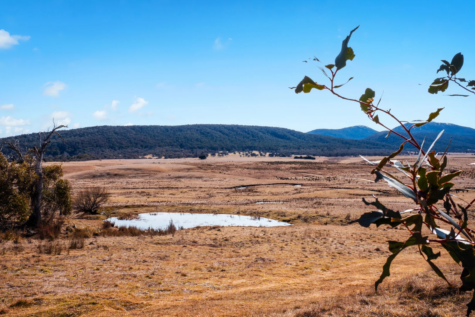 Additional image 4 of 42 Outpost Road, Yaouk NSW 2629