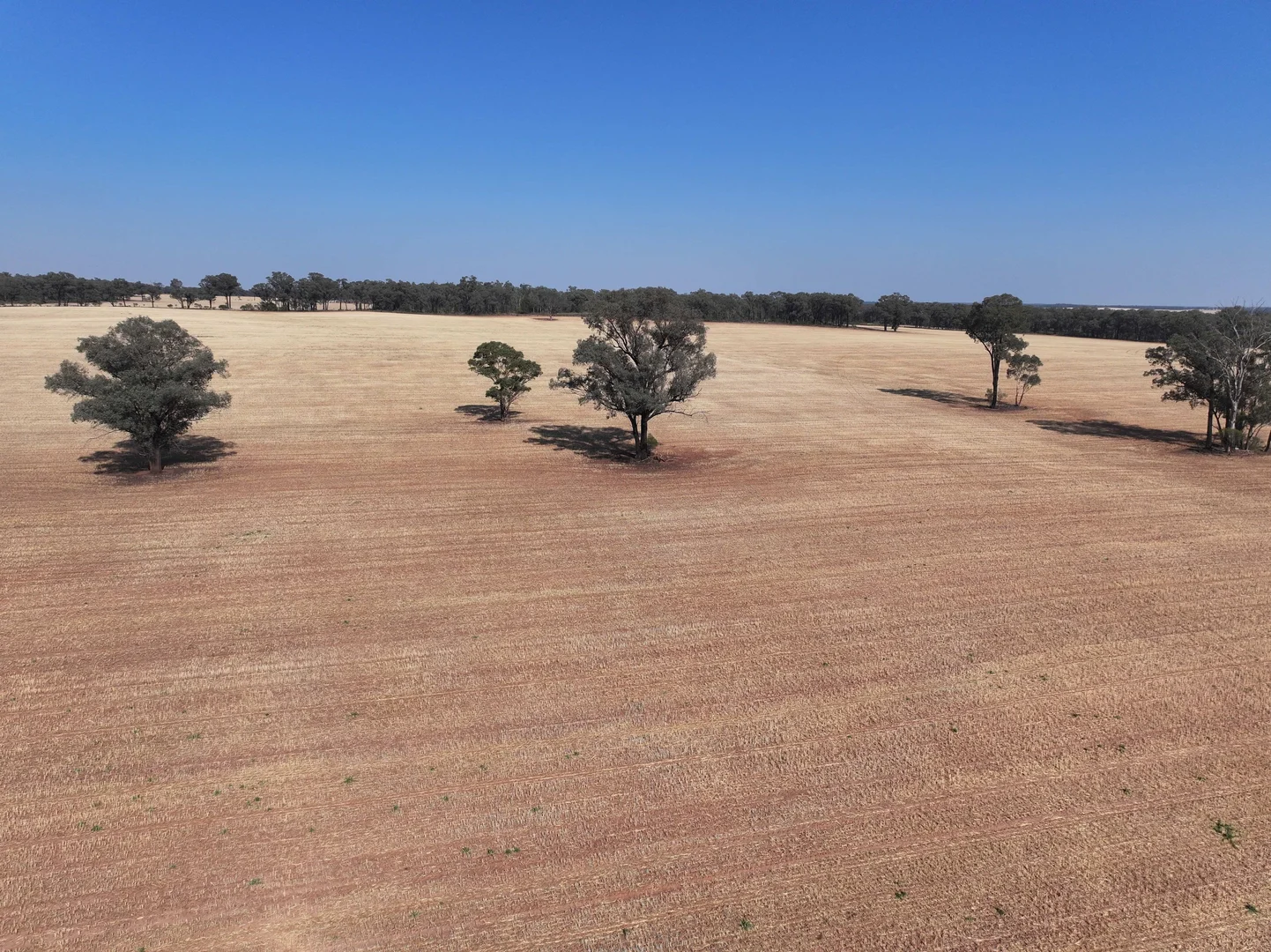 Additional image 2 of 'Wattlevale' 875 Schmidts Lane, Gidginbung NSW 2666