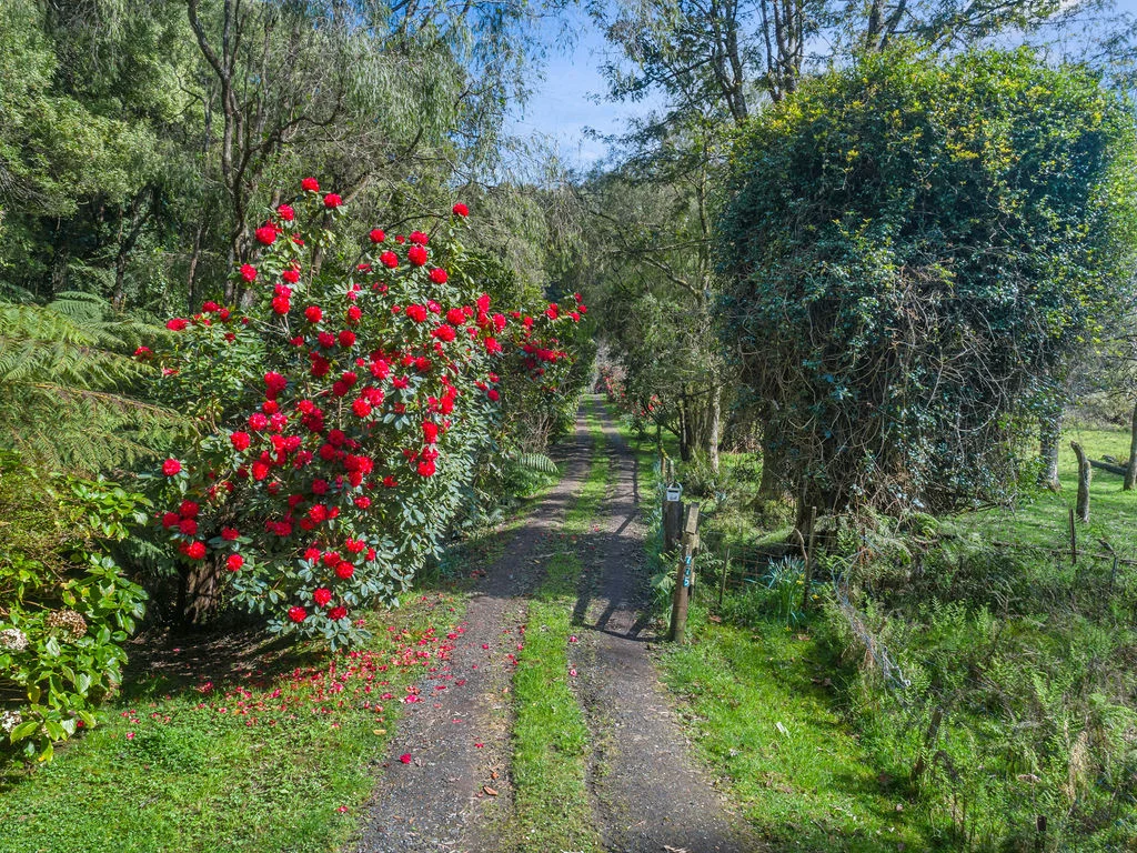 Additional image 19 of 775 Barham River Road, Apollo Bay VIC 3233