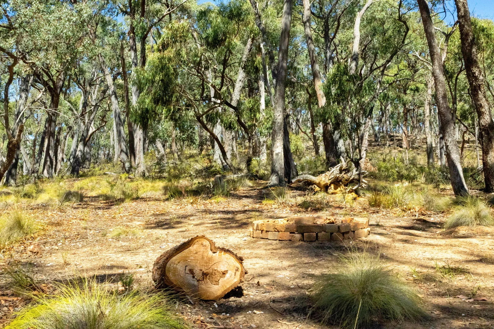 Additional image 6 of CA50 King Charlie Lane, Raglan VIC 3373