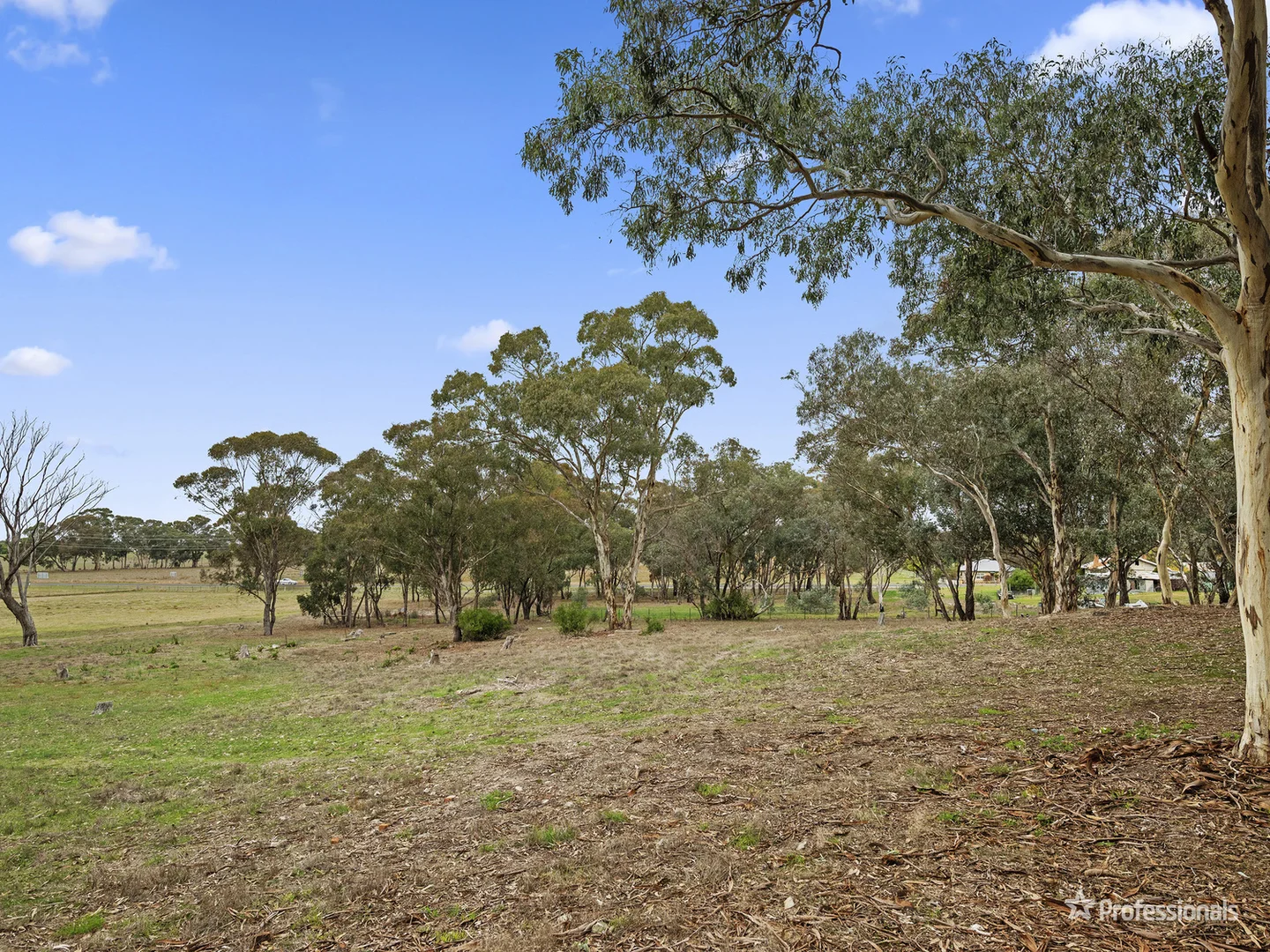 Additional image 4 of Lot 1/26 Chaplins Road, Carisbrook VIC 3464