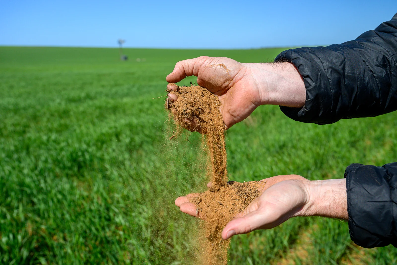 542 Haby & 832 Bolt Road, Nildottie SA 5238