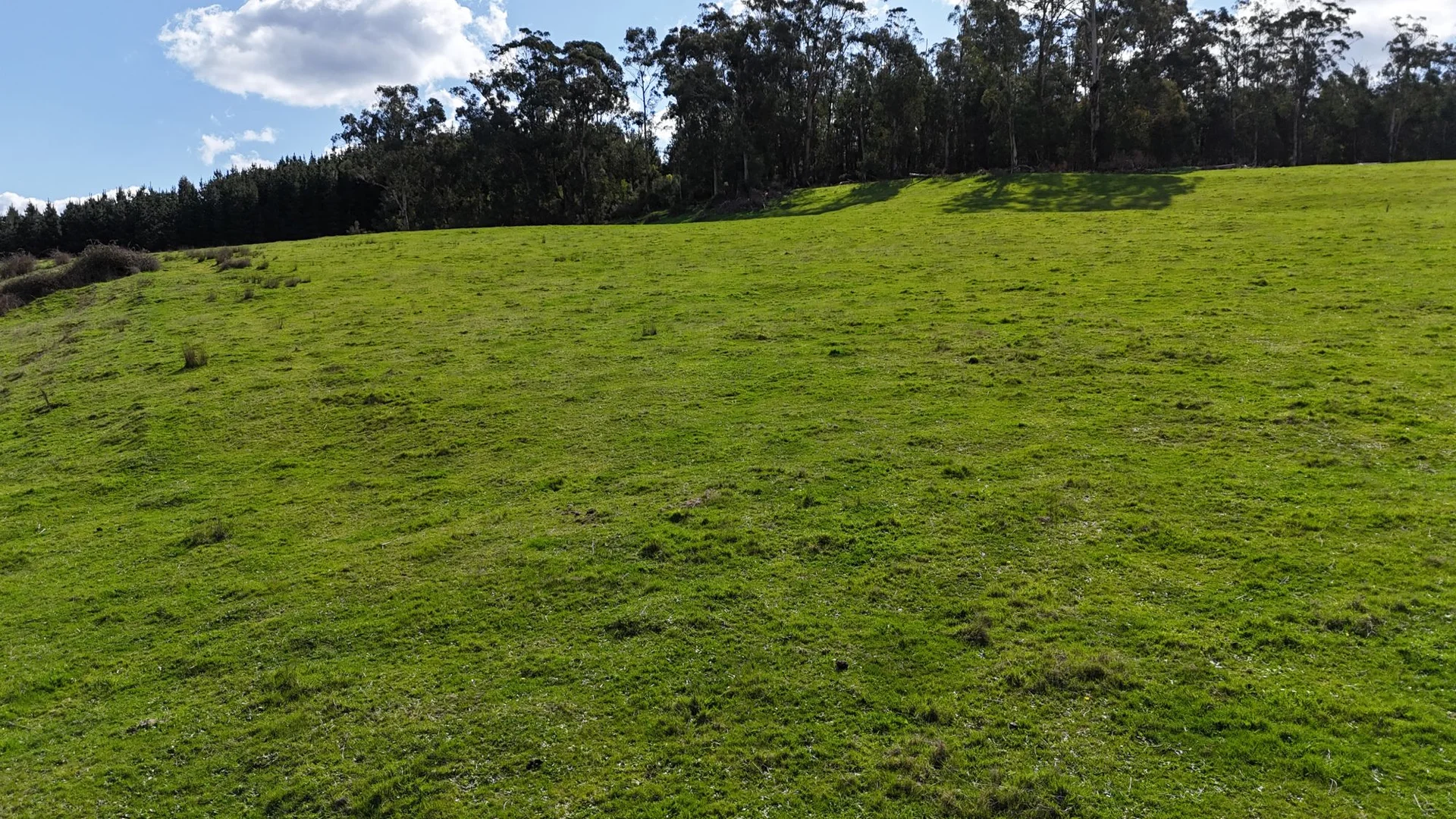 Additional image 7 of 141 BUNDERRA DRIVE, Boolarra VIC 3870