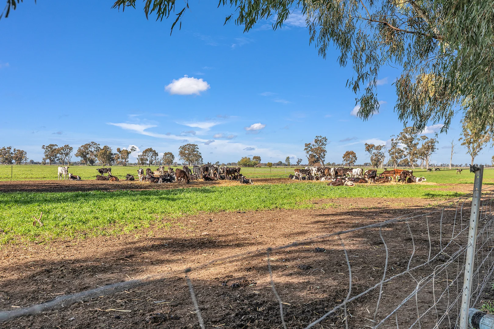 Additional image 49 of 341 Murray Valley Highway, Strathmerton VIC 3641