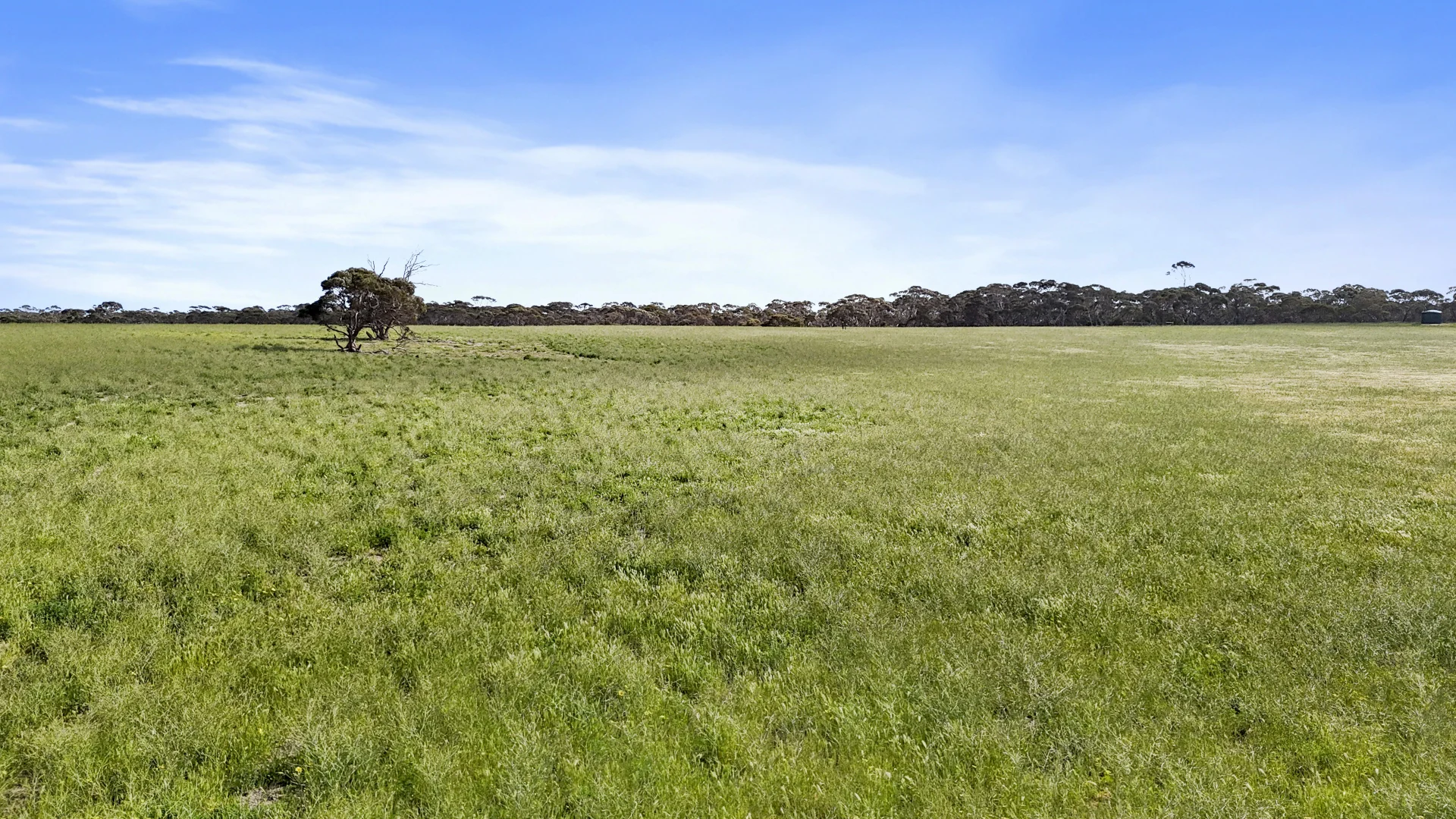 Additional image 10 of 4910 Mallee Highway, Peake SA 5301