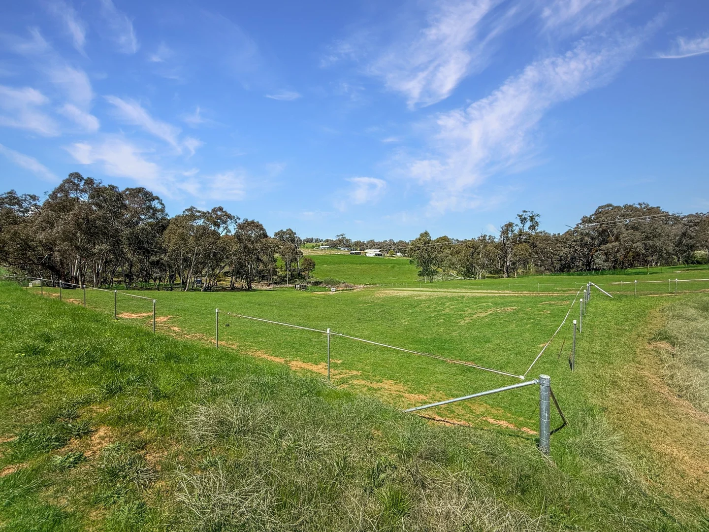 Additional image 29 of 120 Commons Road, Young NSW 2594