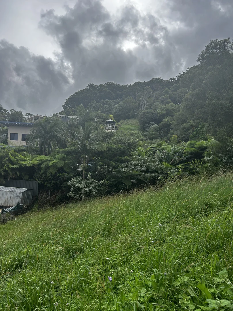 Additional image 7 of 8 Gallagher Pl, Coffs Harbour NSW 2450