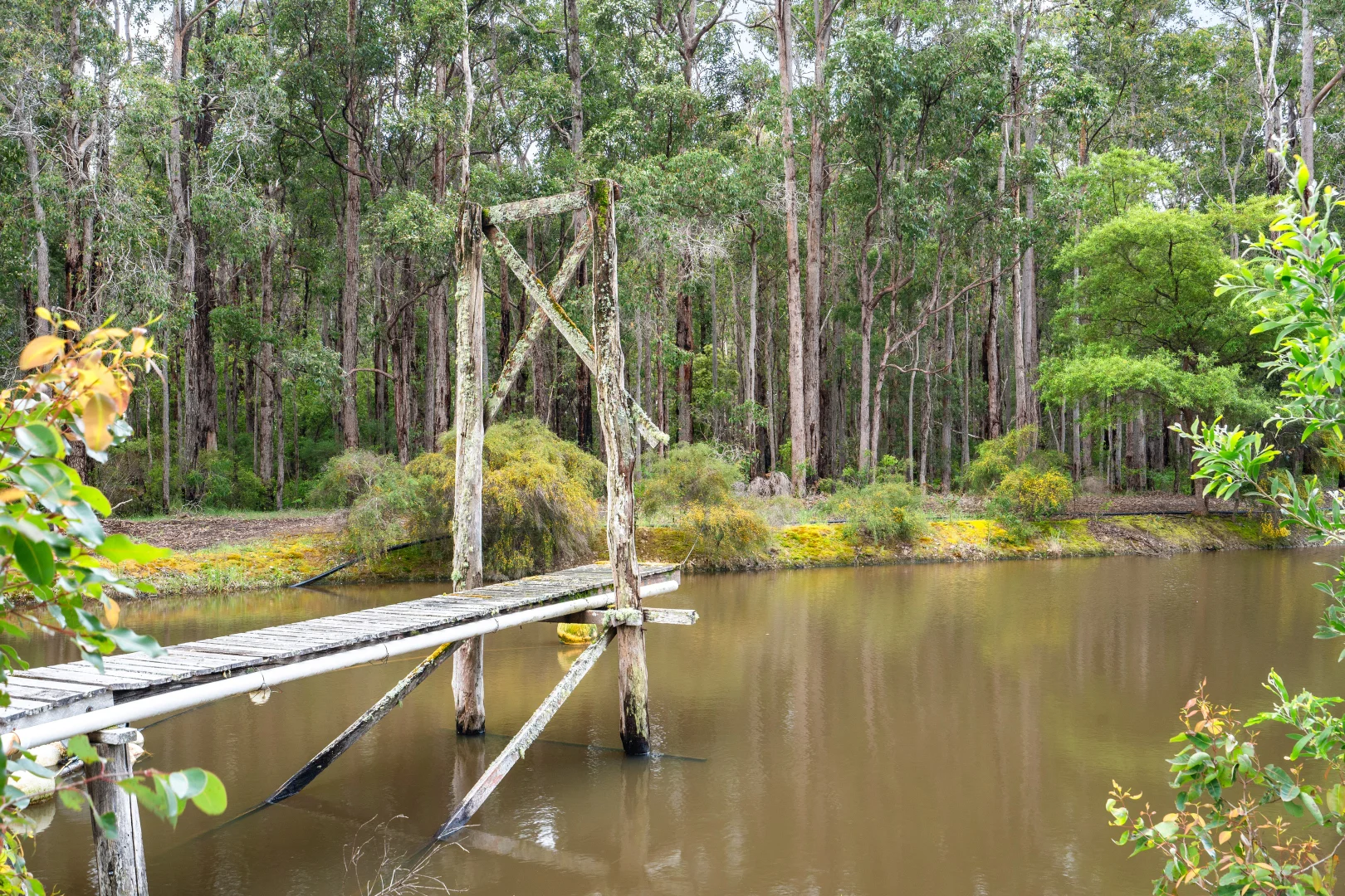 Additional image 27 of 250 Tinks Road, Quinninup WA 6258