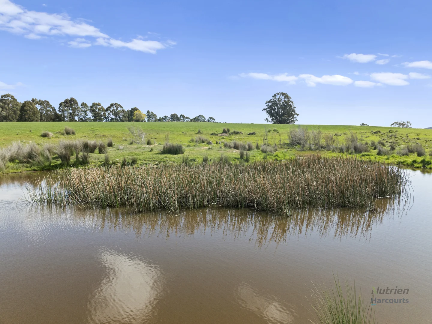 Additional image 8 of 99 Tames Road, Strathbogie VIC 3666