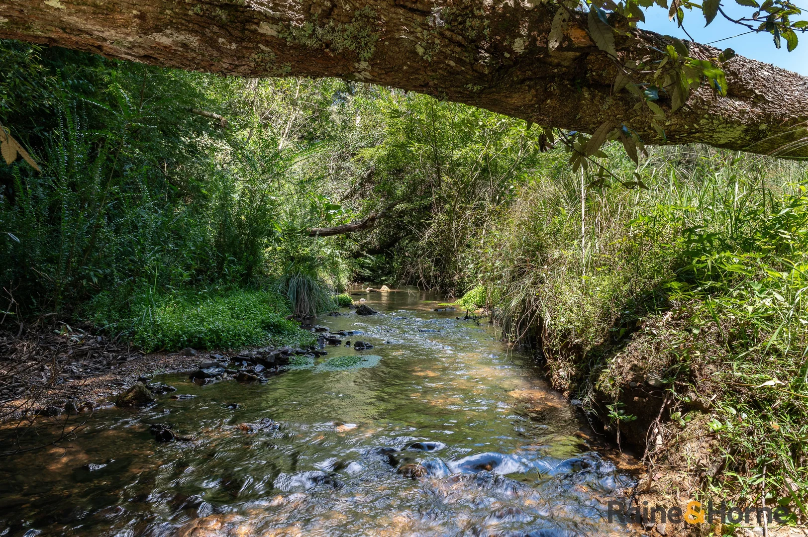 Additional image 27 of 1691 Coramba Road, Megan NSW 2453