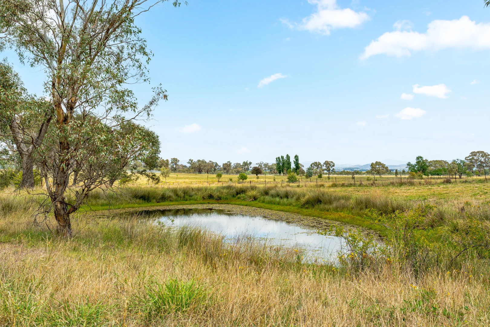 Additional image 64 of 14 Avonley Road, Majura ACT 2609