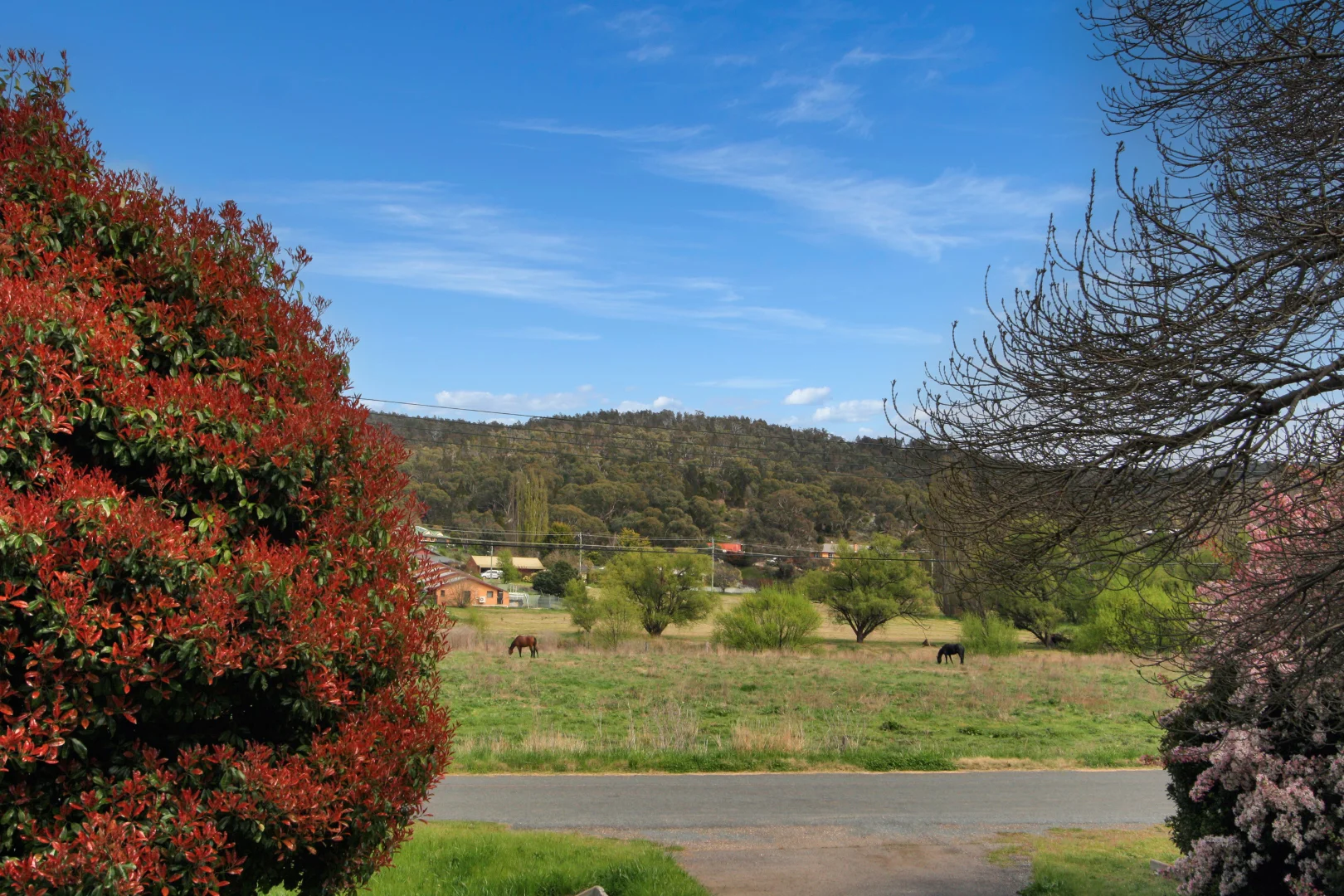 Additional image 9 of 74 Hawkins Street, Cooma NSW 2630