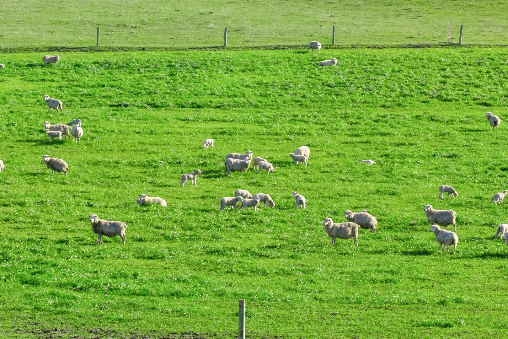 Additional image 26 of 63 Kellys Road, Panmure VIC 3265