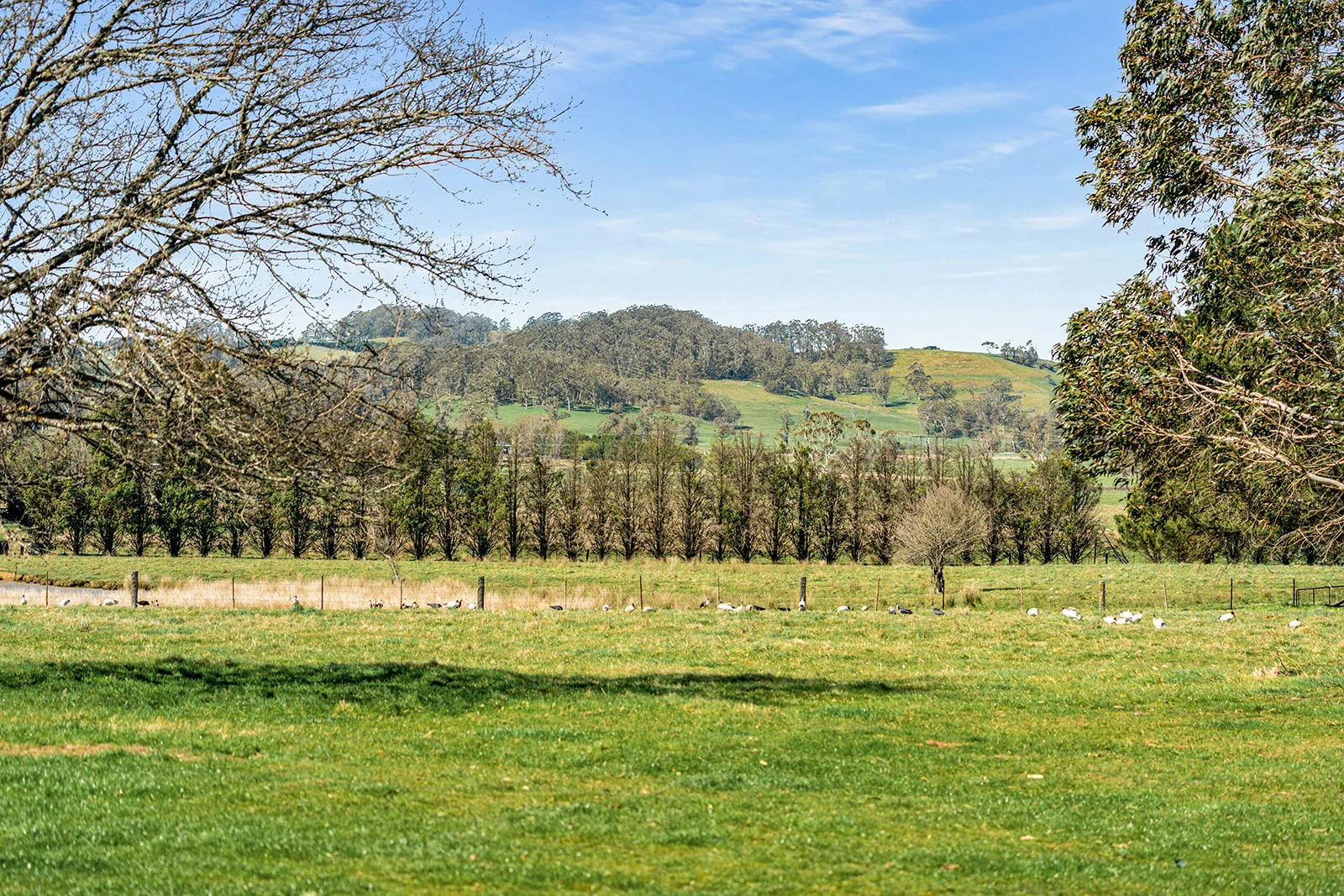 Additional image 10 of 5941 Illawarra Highway, Avoca NSW 2577