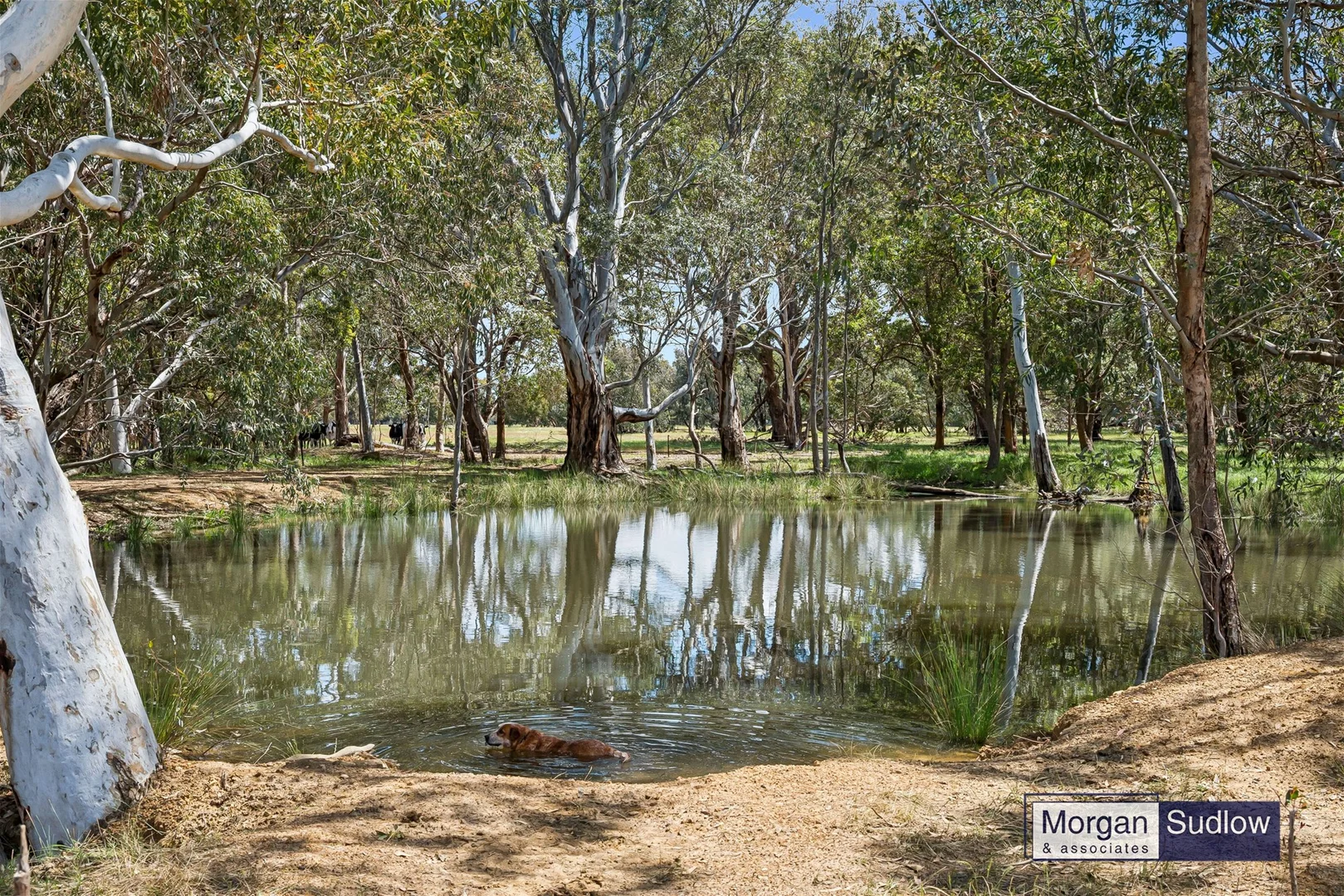 Additional image 28 of 2950 South Western Highway, Serpentine WA 6125