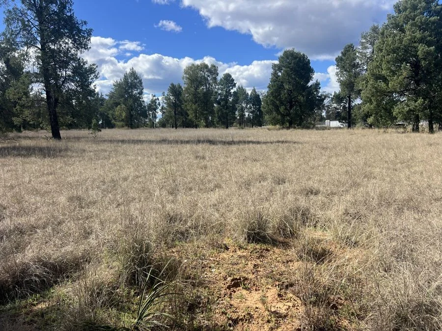 Additional image 3 of Part 127 Creek Road, Baradine NSW 2396