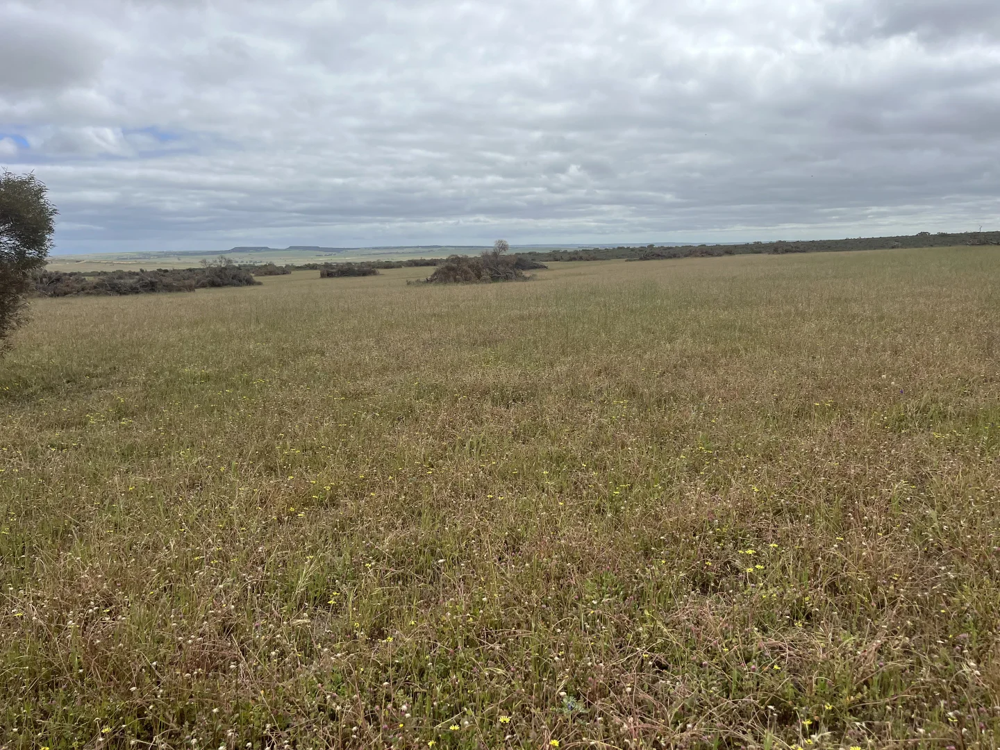 Additional image 11 of Lot 100 First North Road, Kadathinni WA 6519