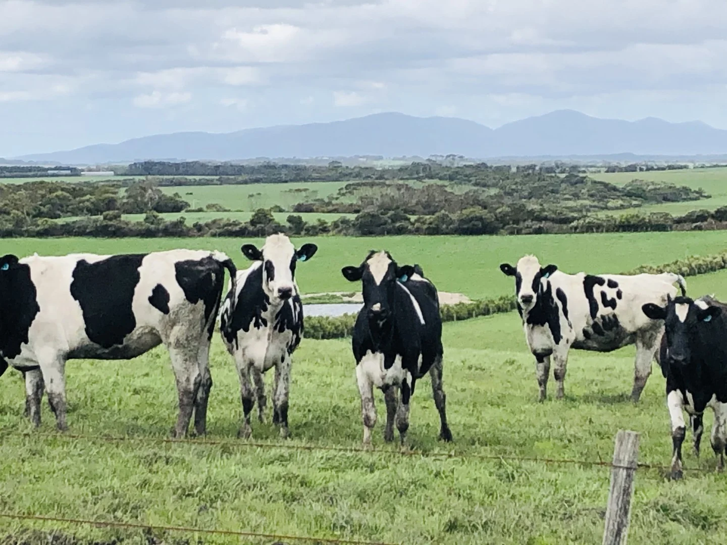 Additional image 15 of 2988 Meeniyan-Prom Rd, Yanakie VIC 3960