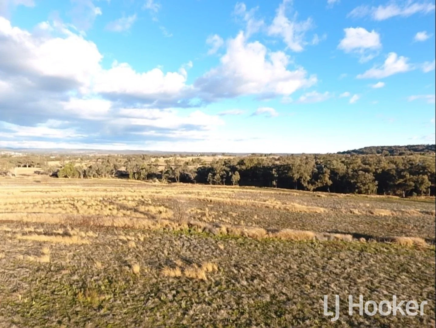 Additional image 5 of 133 Dog Trap Lane, Inverell NSW 2360