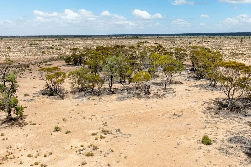 Additional image 13 of Sections 3 Murraylands Road, Blanchetown SA 5357