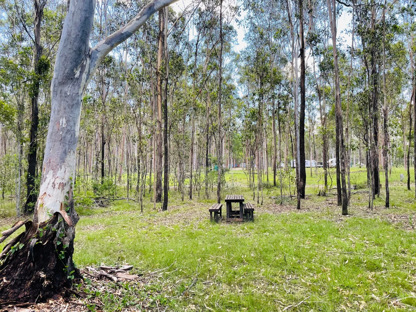 Additional image 19 of 264 Cooks Road, South Isis QLD 4660