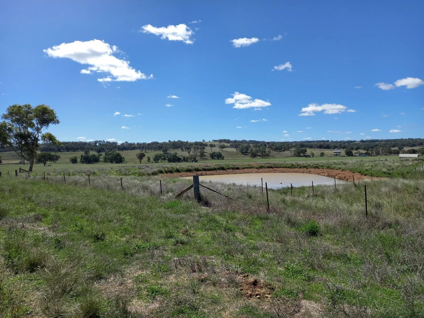 Additional image 27 of 325 Toorawandi Road, Ulamambri NSW 2357