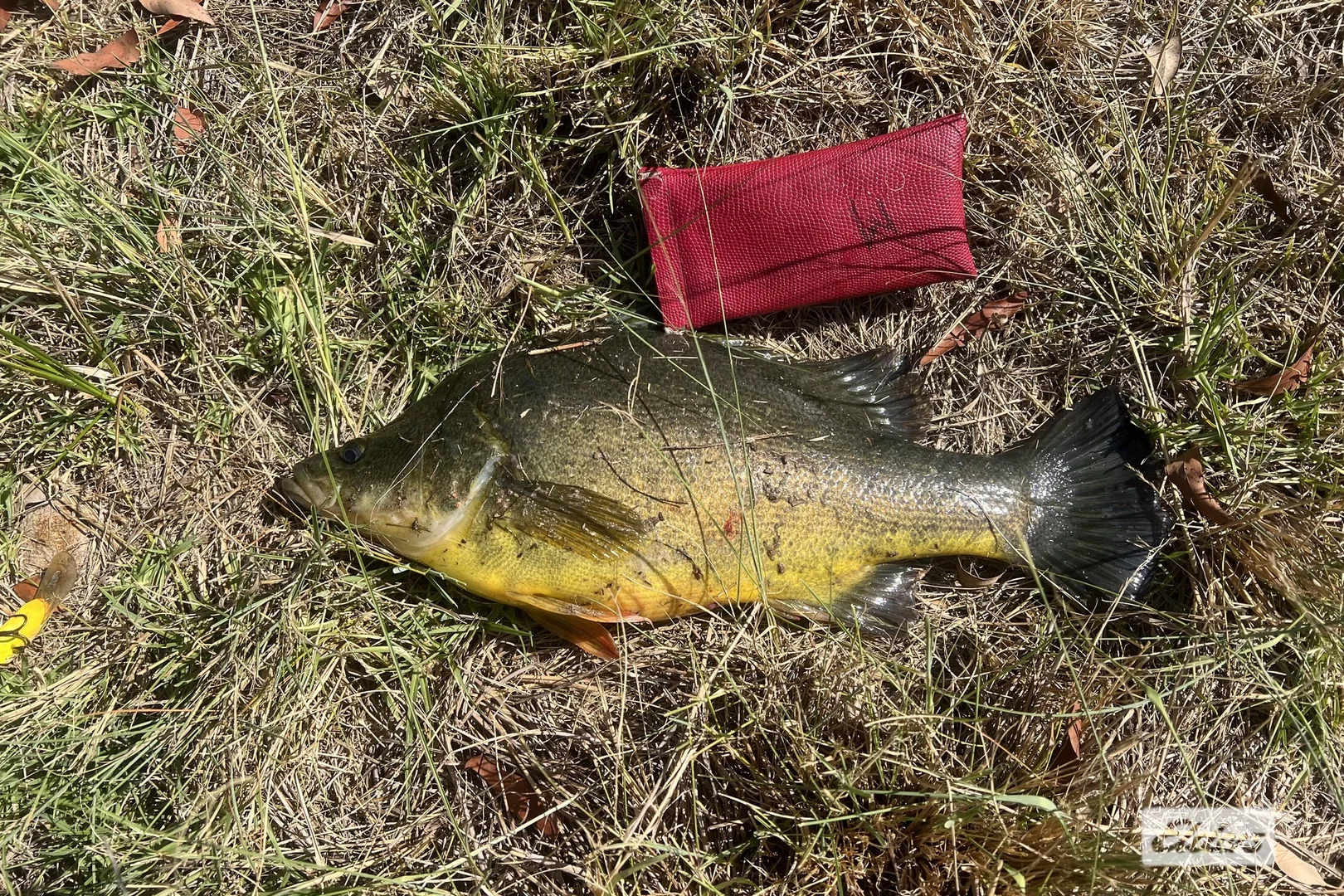 Additional image 26 of Kyoomba QLD 4380