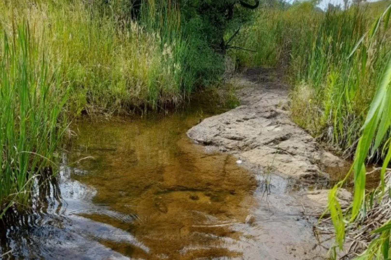 Additional image 20 of 2625 Bylong Valley Way, Rylstone NSW 2849