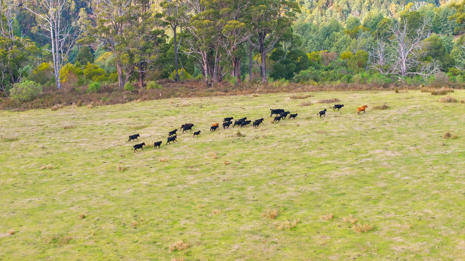 Additional image 4 of 65 Pumps Road, Callignee VIC 3844