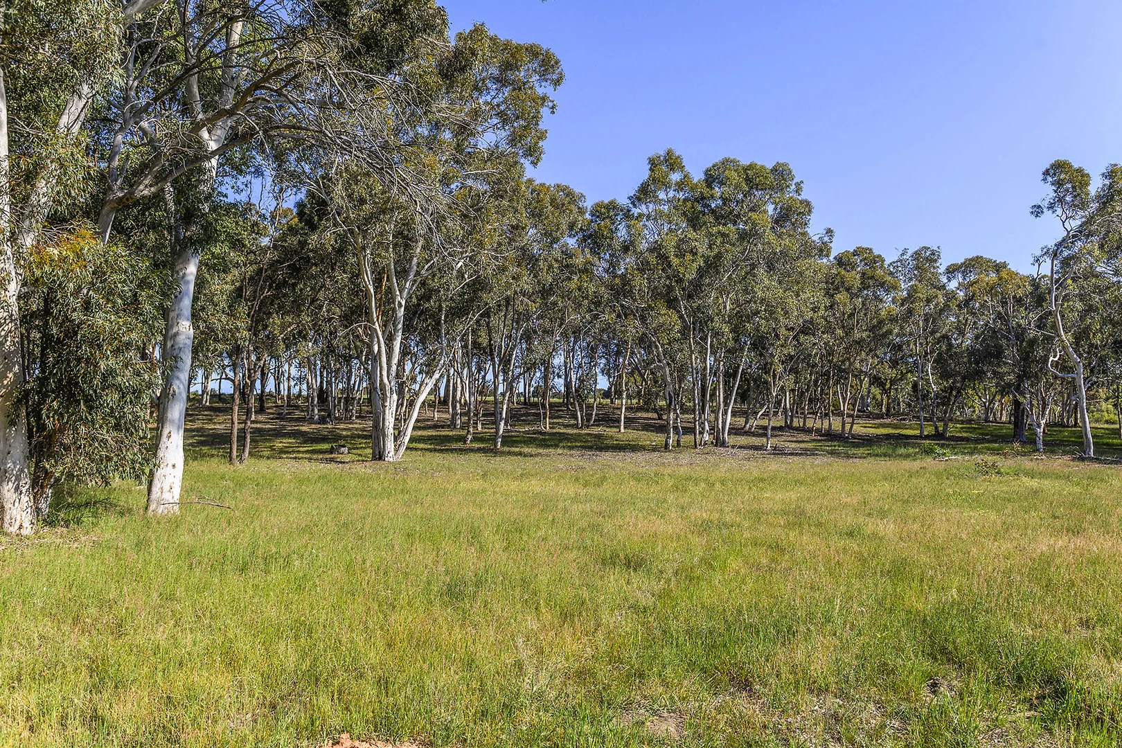 Additional image 11 of Guernsey Rise, Lower Chittering WA 6084