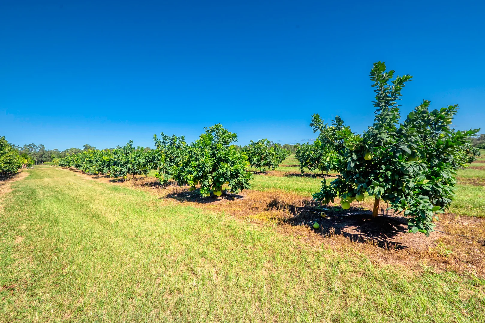 Additional image 25 of 57 Larsens Road, Coominya QLD 4311