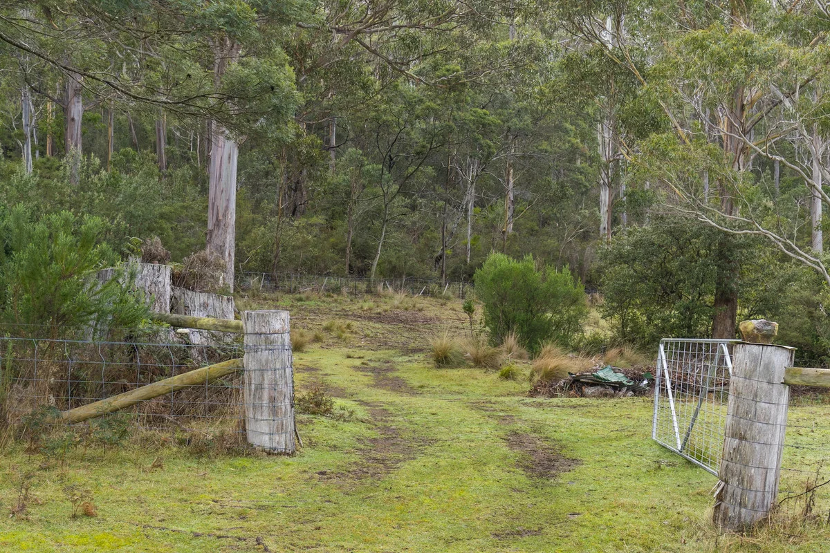Additional image 18 of 1 & 2 Bresnehans Road, Little Swanport TAS 7190