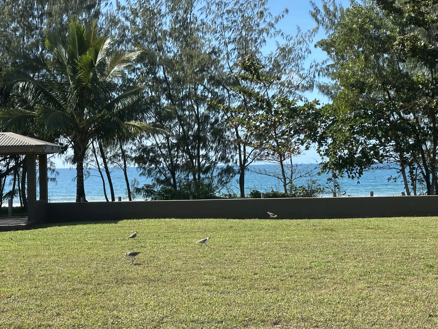 Additional image 18 of Lot 3/55-61 Banfield Pde, Wongaling Beach QLD 4852