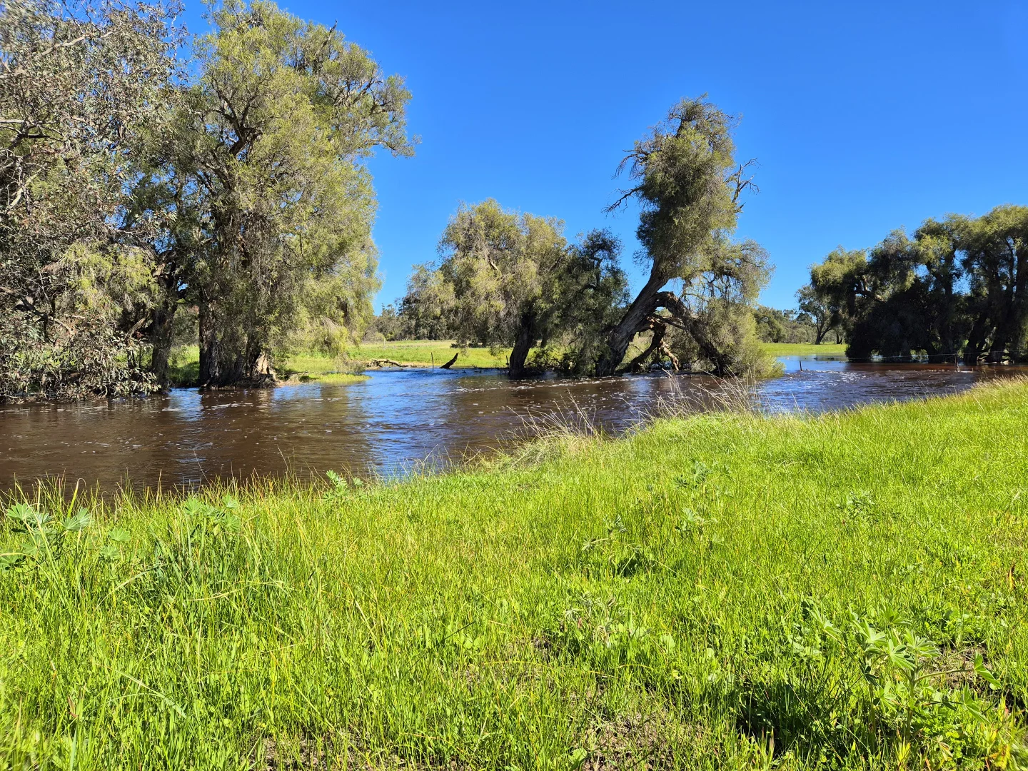 Additional image 13 of 190 Flourmill Cove, Cowalla WA 6503