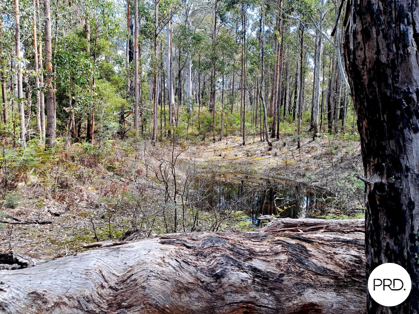 Additional image 2 of Lot 1 Ellendale Road, Ellendale TAS 7140