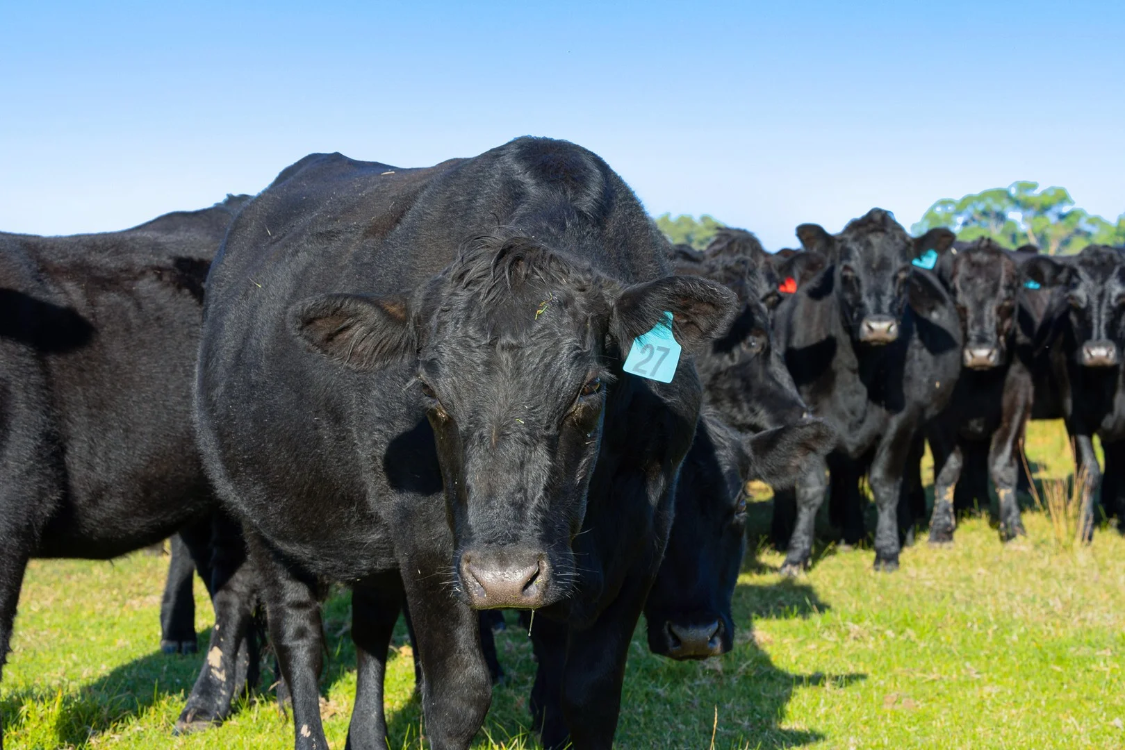 86 Munro-Stockdale Road, Munro VIC 3862